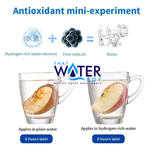 AquaVita Luxe Hydrogen Oxygen Water Cup